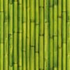 Natural Zen - Imagem 33